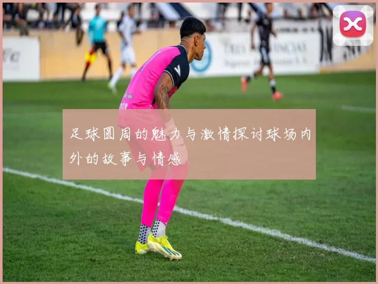 足球圆周的魅力与激情探讨球场内外的故事与情感