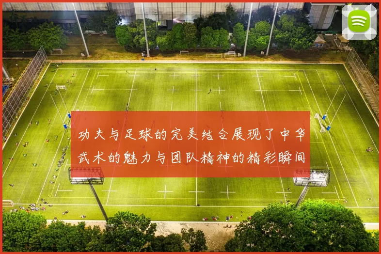 功夫与足球的完美结合展现了中华武术的魅力与团队精神的精彩瞬间
