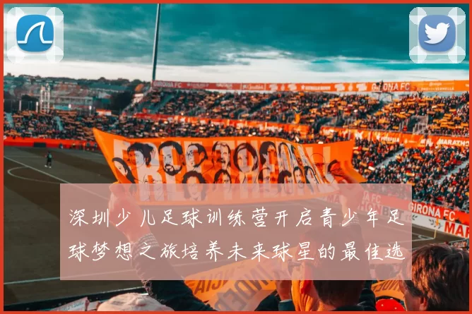 深圳少儿足球训练营开启青少年足球梦想之旅培养未来球星的最佳选择