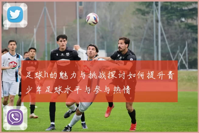 足球h的魅力与挑战探讨如何提升青少年足球水平与参与热情